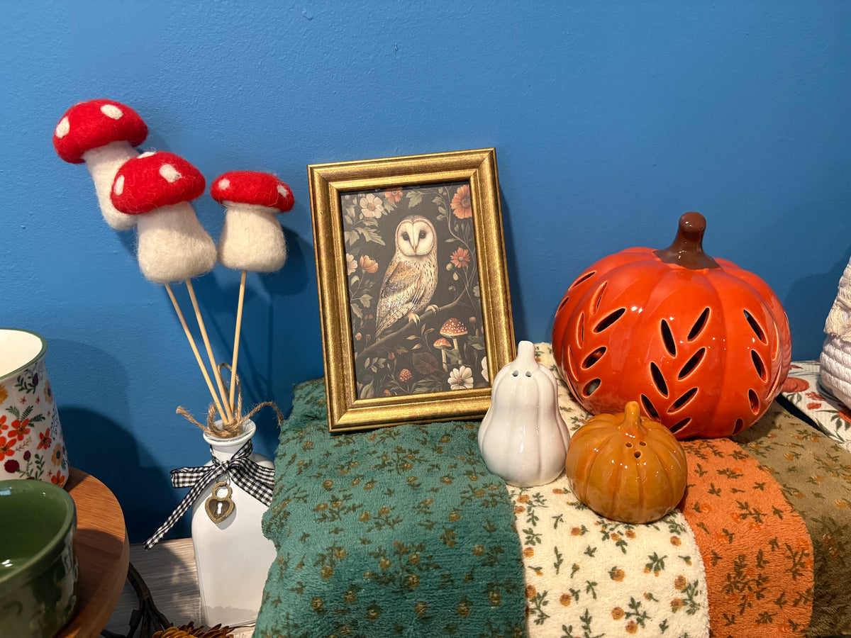 Fall Curio