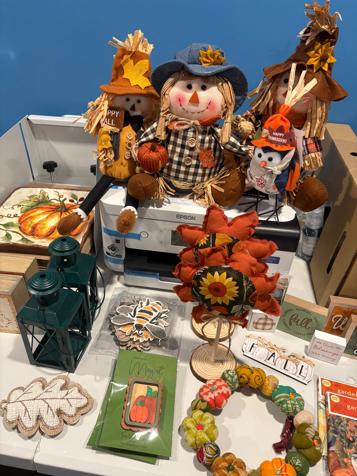 Fall Curio
