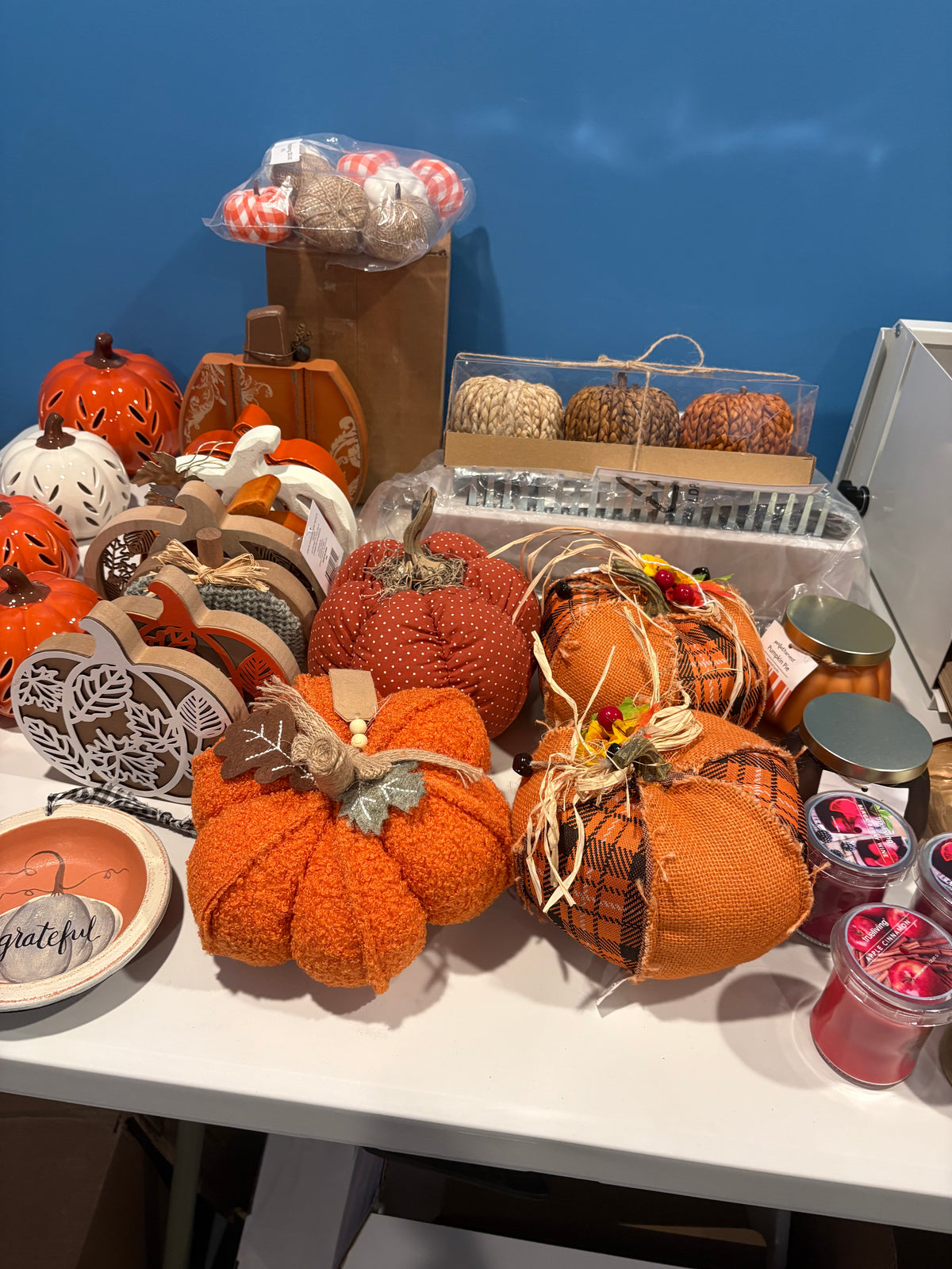 Fall Curio